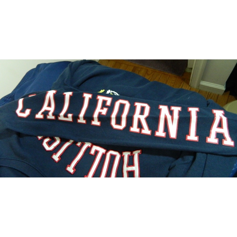 Hollister Mens Graphic Tee Long Sleeve Navy Tiger California Print LARGE - Picture 6 of 6